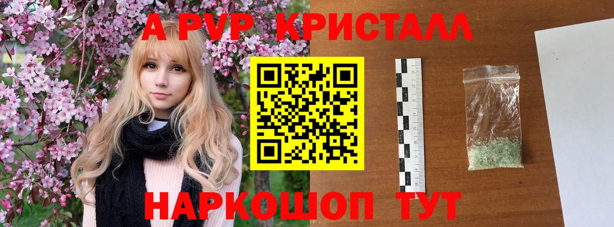 Альфа ПВП  APVP крисы CK  Уссурийск  Вход с VPN  A PVP СК КРИС  APVP СК КРИС 